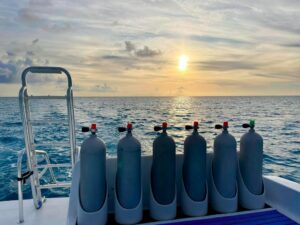 Lire la suite à propos de l’article Plongée aux Bahamas : le guide ultime du paradis sous-marin