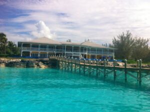 Read more about the article Can You Dive with Sharks in the Bahamas? Is It Safe?