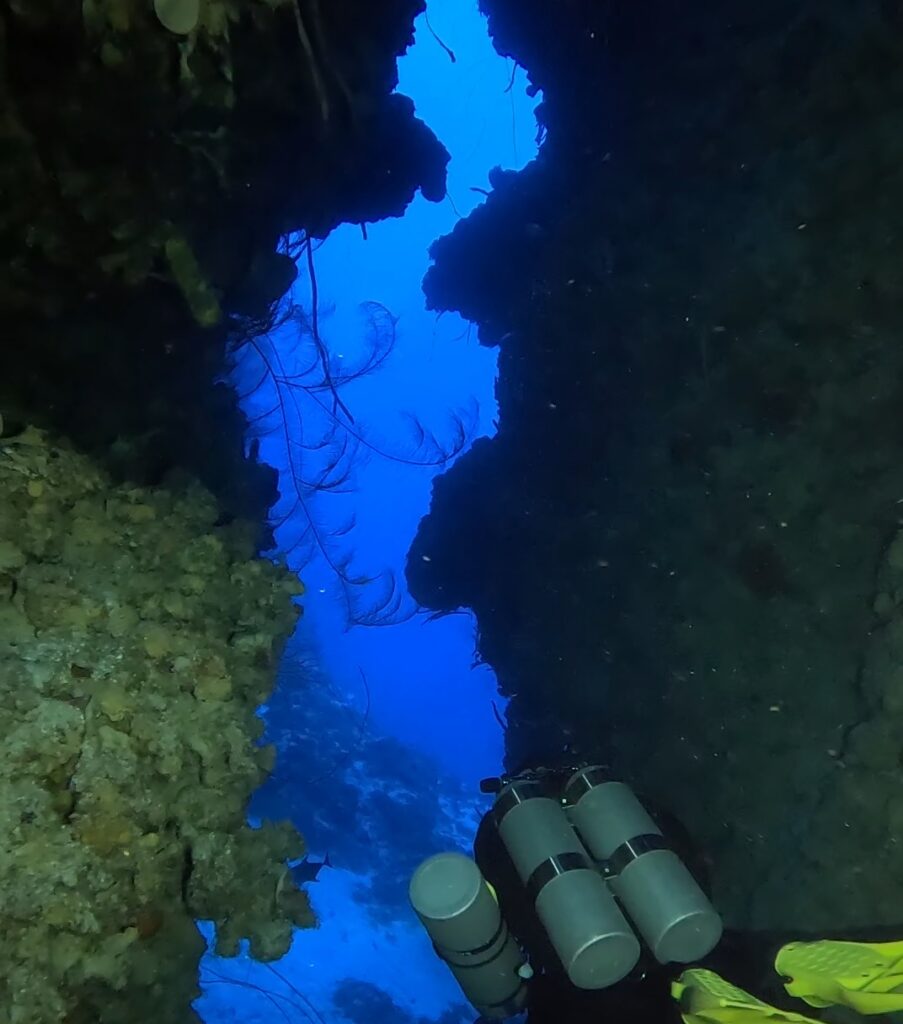 tek diving bahamas