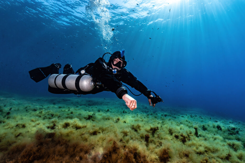 Where Is the Best Diving in the Bahamas