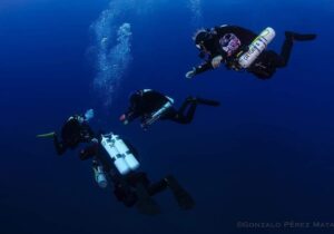 Lire la suite à propos de l’article Vous souhaitez en apprendre plus sur le milieu marin tout en plongeant : la semaine biologie est faite pour vous !