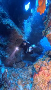 Read more about the article Learn to Dive in the Bahamas: Your Complete Beginner’s Guide
