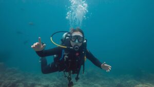 Read more about the article How Much Does it Cost to Go Diving in the Bahamas? A Complete Pricing Guide