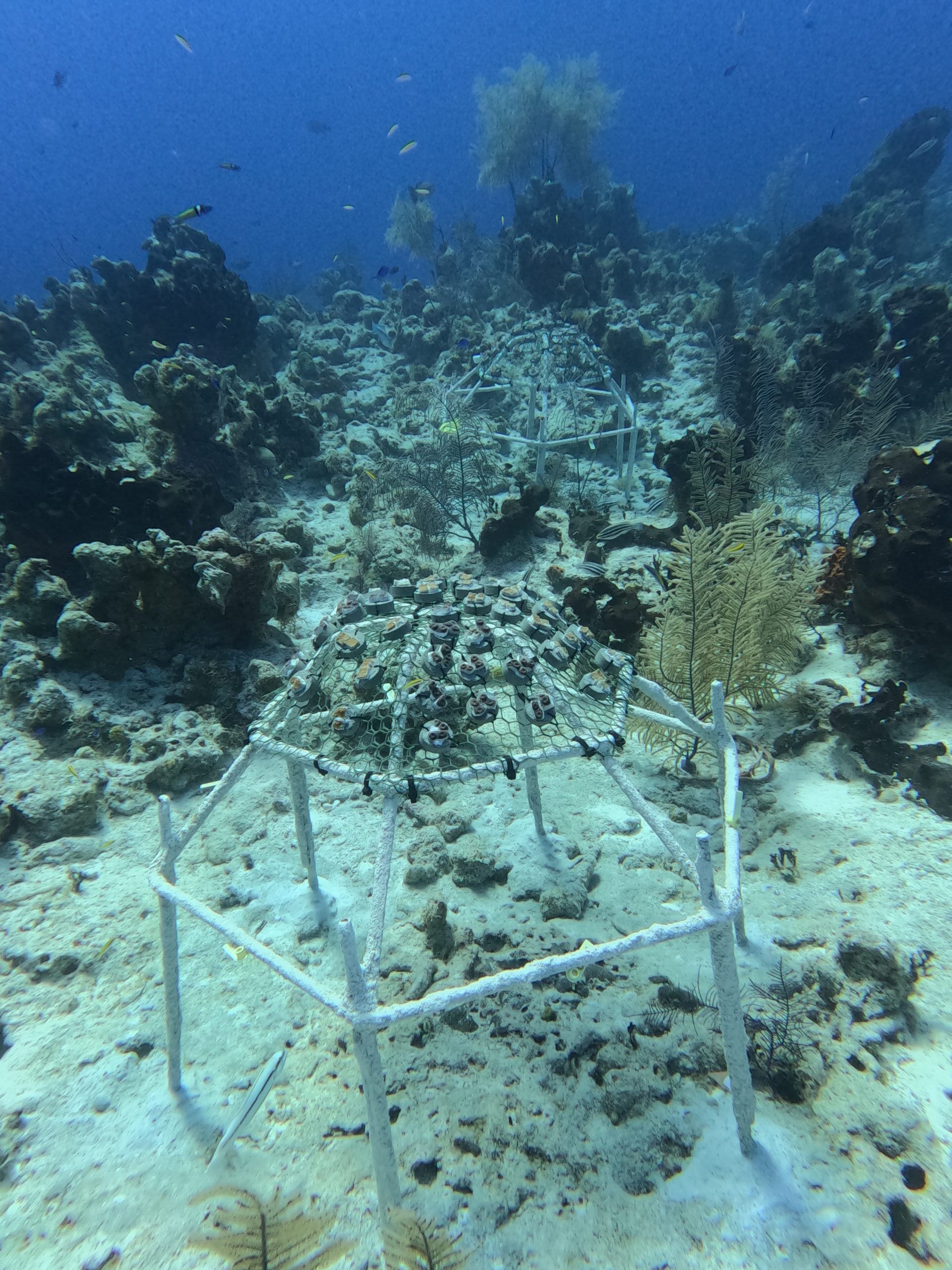 DCIM100GOPROGOPR2385.JPG
